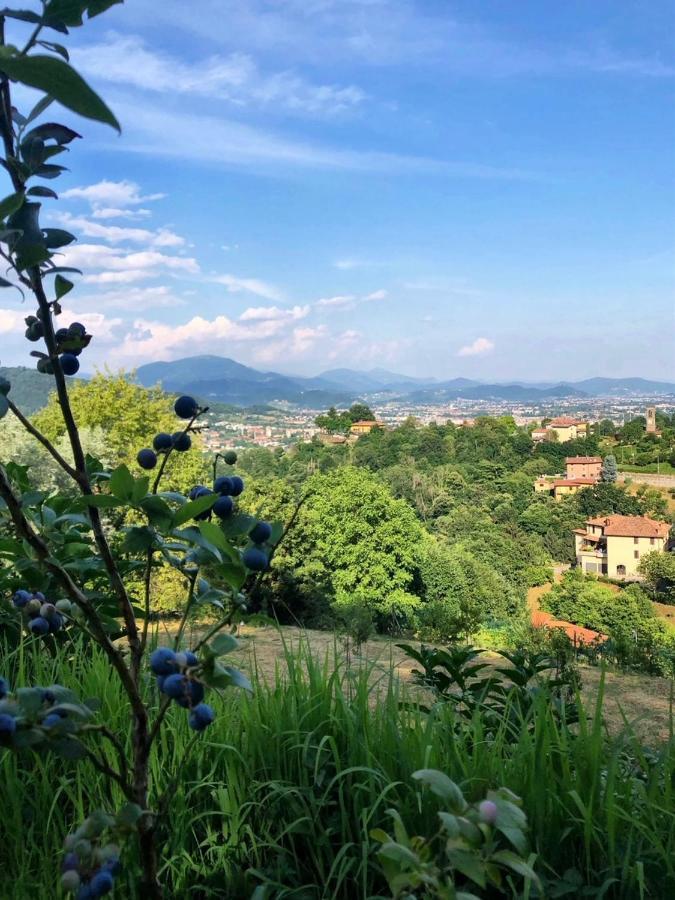 Foresteria Antica Bastia B&B 베르가모 외부 사진