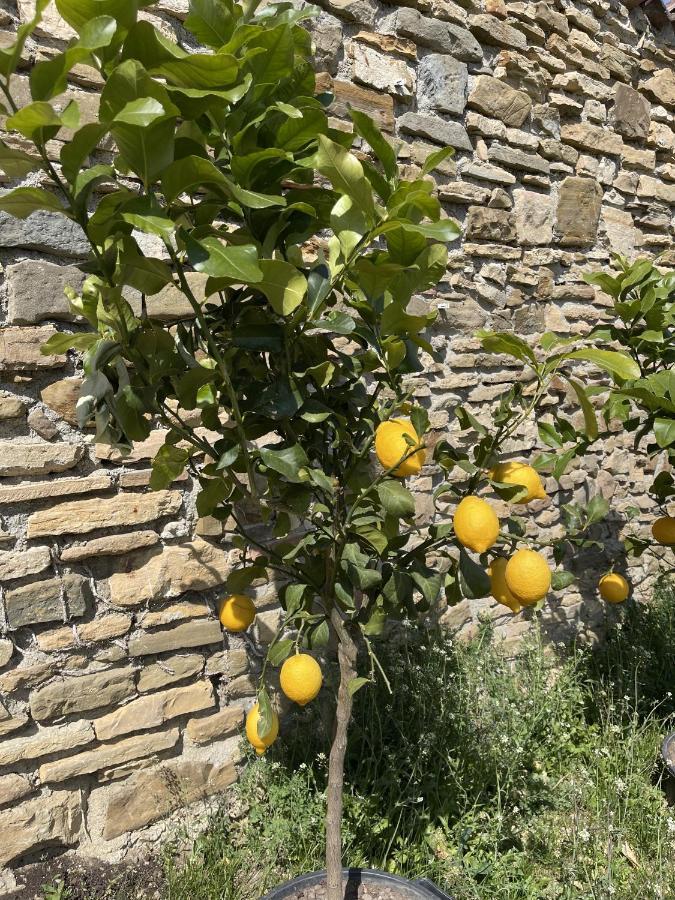 Foresteria Antica Bastia B&B 베르가모 외부 사진